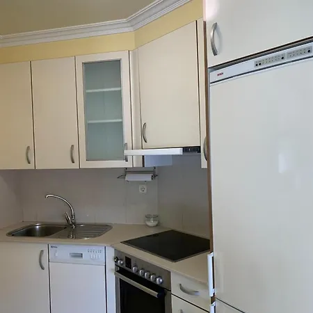 公寓 La Palmera 桑亨霍