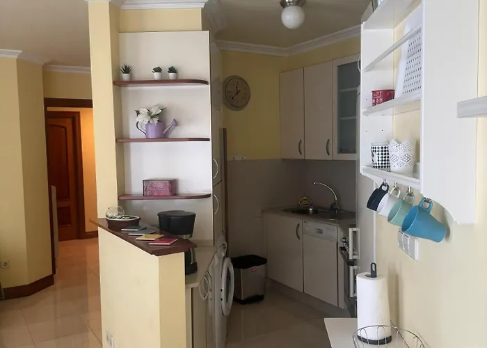 La Palmera サンシェンショ